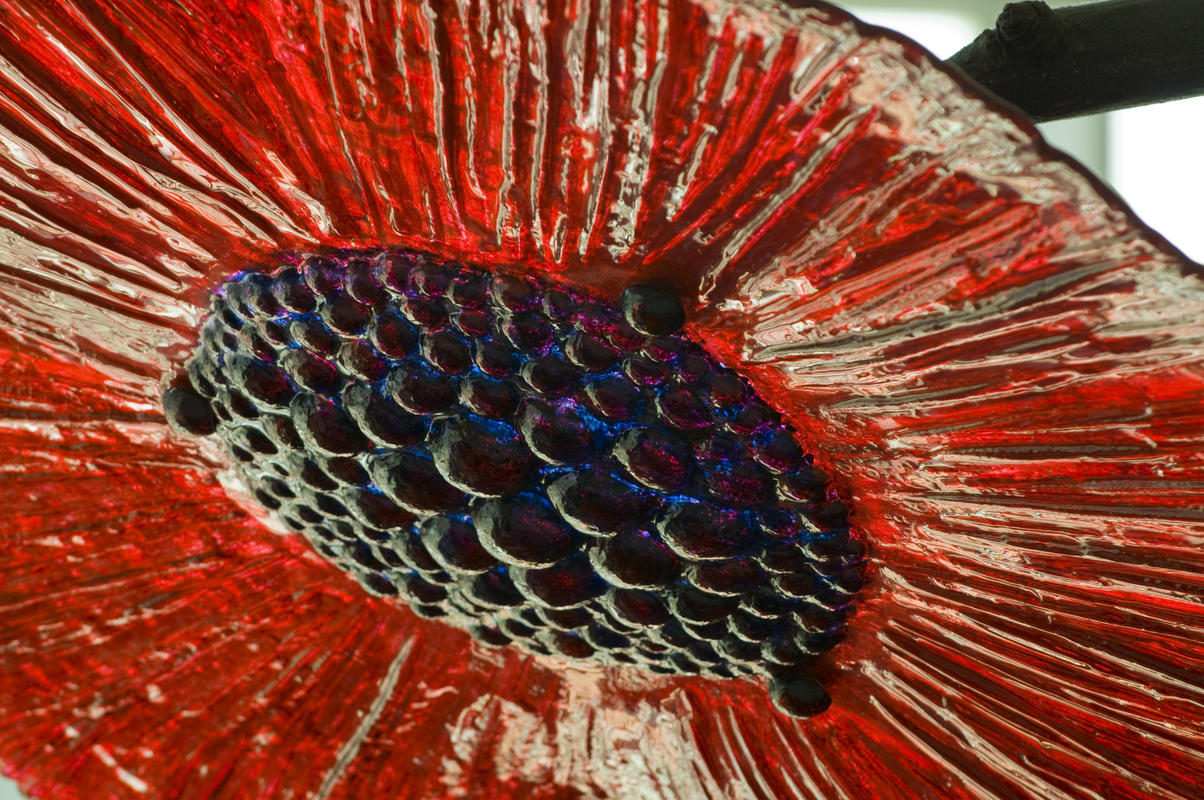 photo of one of the glass flowers close up