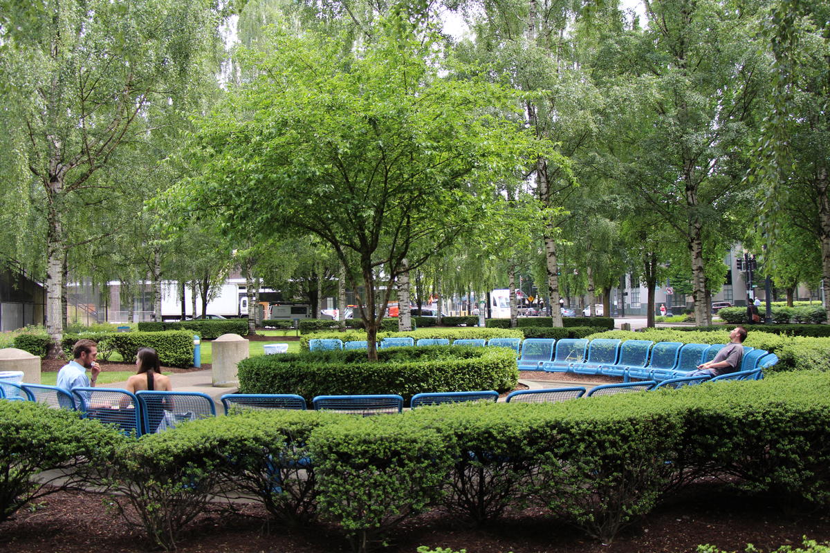 photo of a park in the Lloyd district