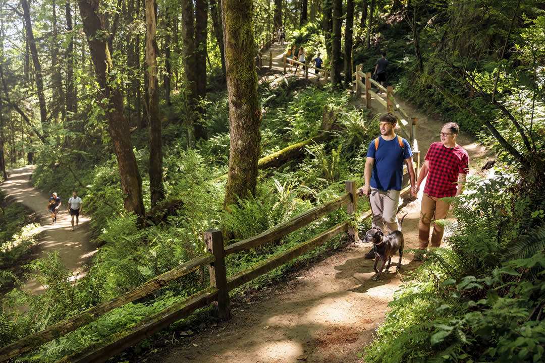 photo of people hiking in a Portland park