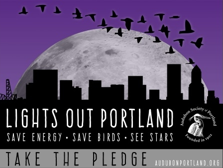 Lights Out Portland promotional graphic