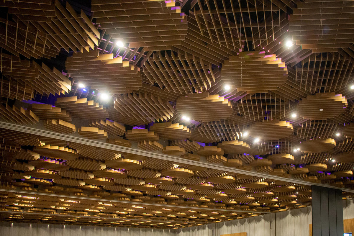 The Oregon Ballroom Ceiling with Purple Lights