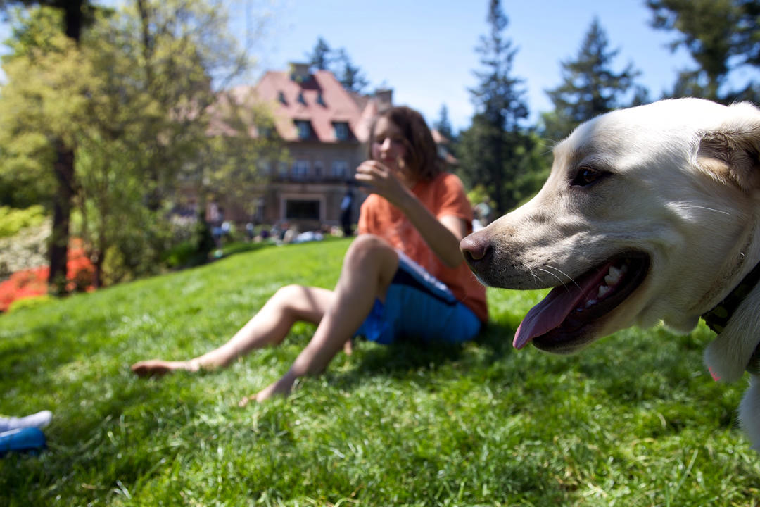 photo of person and their dog enjoying a Portland park