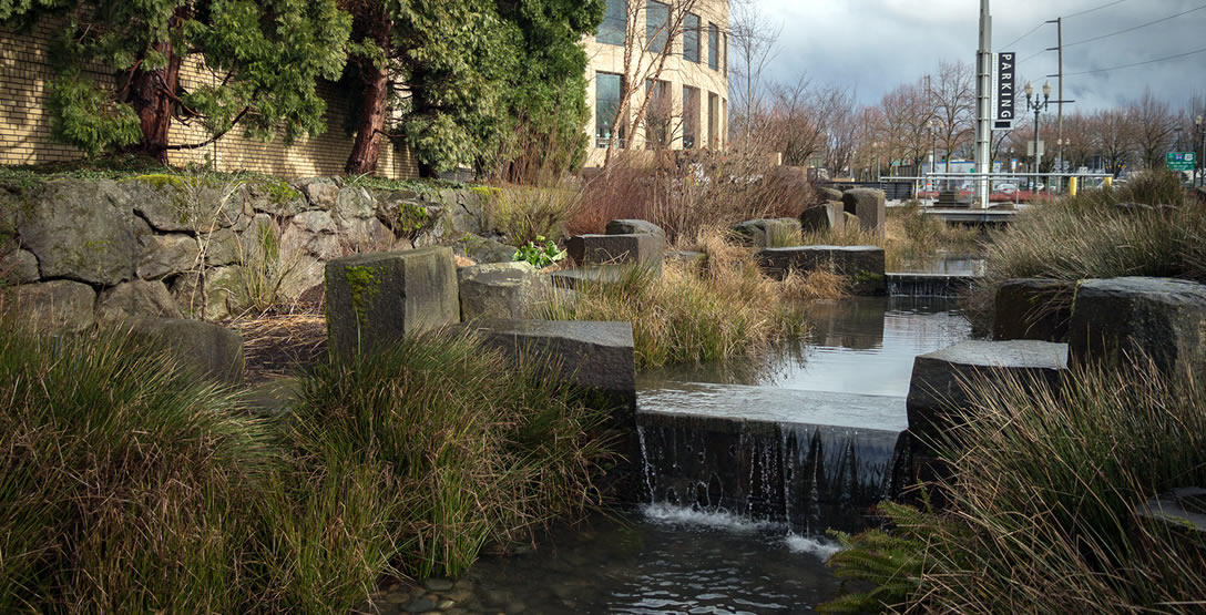 photo of OCC rain garden