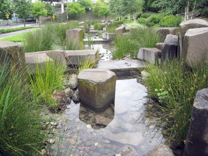 Outdoor rain garden with tall grasses and rocks.