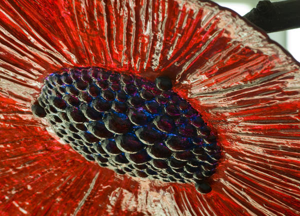 photo of one of the glass flowers close up