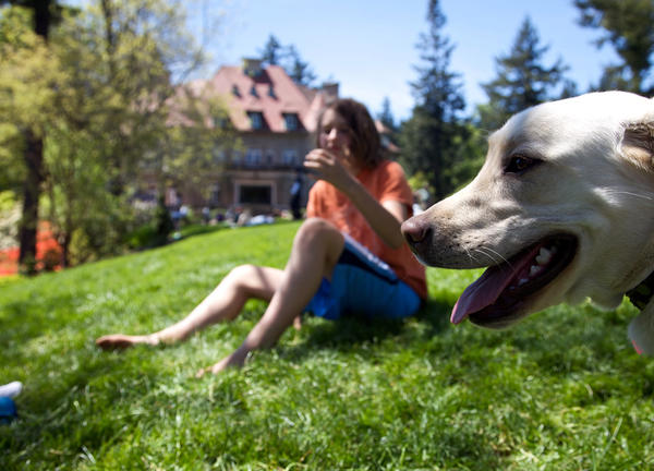 photo of person and their dog enjoying a Portland park